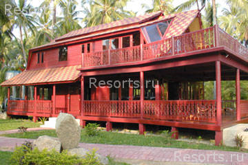 Coconut Paradise 46